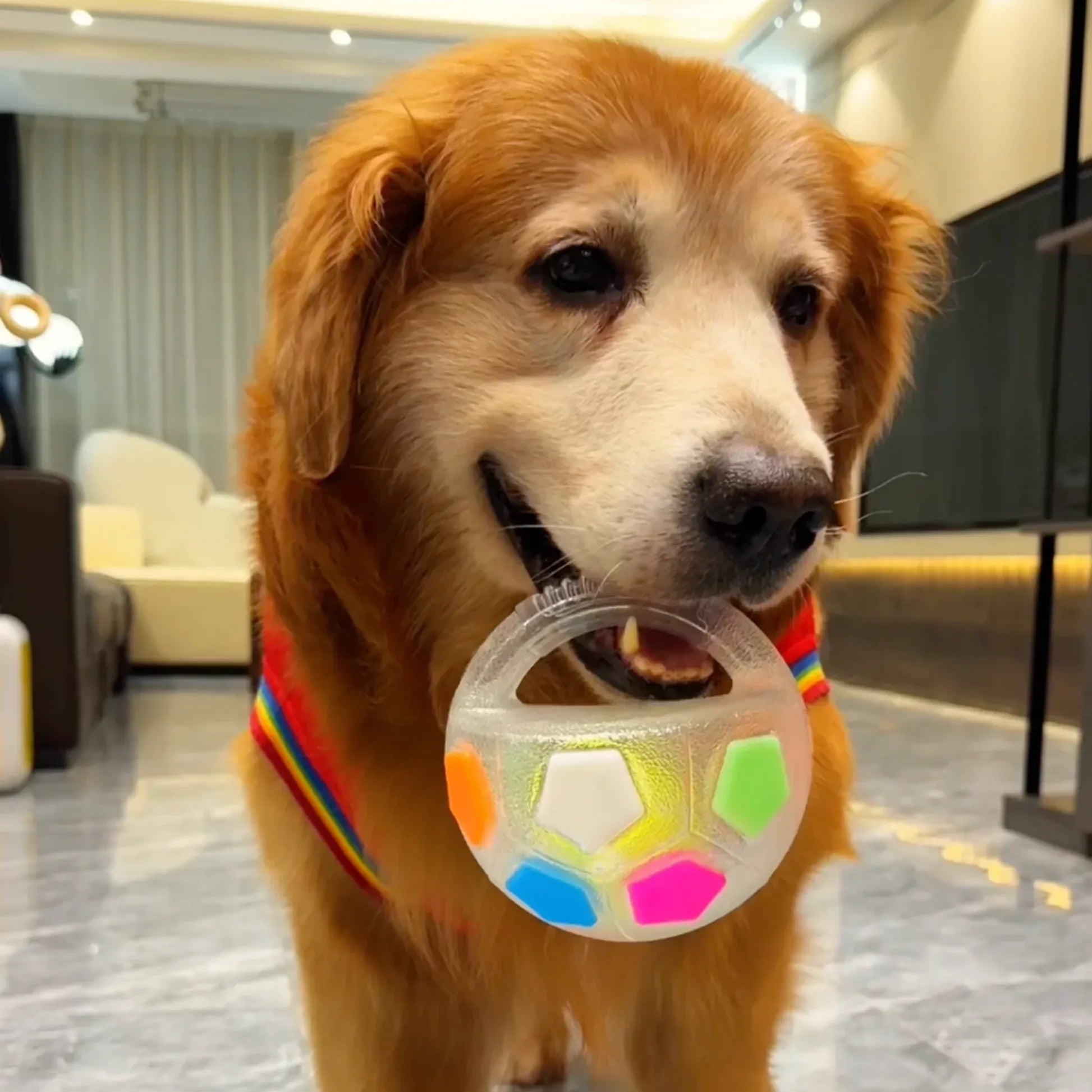 TurboPawz™ — Unleash Endless Joy and Unbreakable Playtime Magic