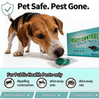 12-Pack of VeroGuard™ Repellent Pods — Banish Pests Silently and Reclaim Your Peace of Mind