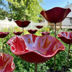 BloomAura™ — Ignite Your Garden’s Glow and Invite Nature’s Joy