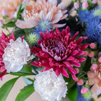 VeranoMist™ — Ignite Unforgettable Emotions with Every Stunning Bloom