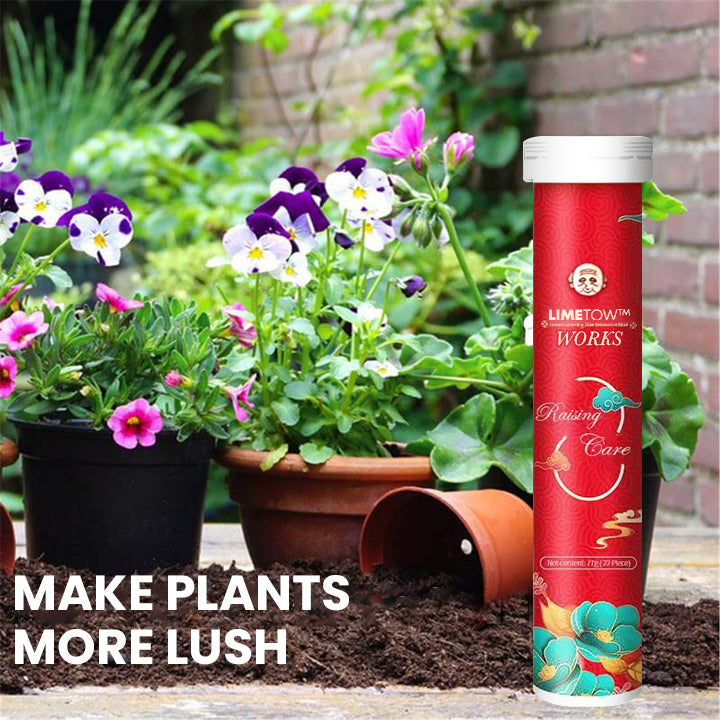 VerdanRise™ — Effortless, Long-Lasting Nourishment for a Thriving, Vibrant Garden