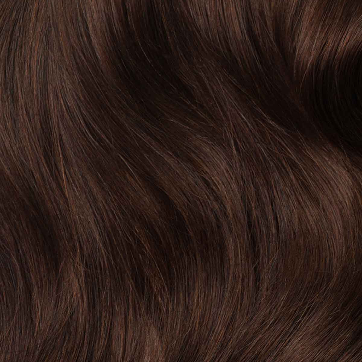 VivaRoot™ — Instantly Transform Your Hairline and Own Every Room