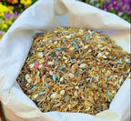 PetalPulse™ — Ignite Your Garden with Endless Blooms and Effortless Beauty