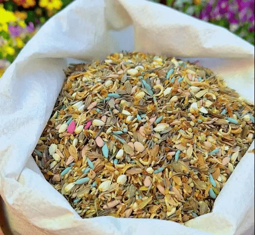 PetalPulse™ — Ignite Your Garden with Endless Blooms and Effortless Beauty