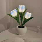 RadianceBloom™ — Instantly Wrap Your Room in Soothing, Romantic Light