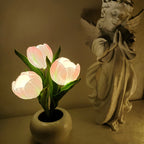 RadianceBloom™ — Instantly Wrap Your Room in Soothing, Romantic Light