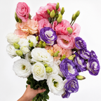 RaminaBlossom™ — Ignite Joy with a Garden Bursting in Vibrant, Heartfelt Color