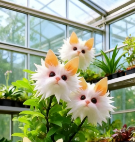 LumiMyst™ Cat's Eye Orchid — Ignite Your Space with Mesmerizing Beauty and Effortless Elegance