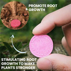 VerdanRise™ — Effortless, Long-Lasting Nourishment for a Thriving, Vibrant Garden