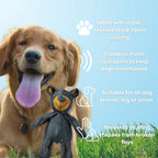 CrushBite™ — Tough Chew Fun That Keeps Your Dog Happy, Healthy, and Hooked