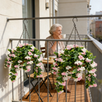 RadianceBloom™ — Fill Your Space with Lush, Lasting Beauty That Wows Every Time