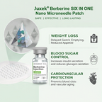 VioraLuxe™ 6-in-1 Nano Microneedle Patch — Melt Fat and Reveal Radiant, Youthful Confidence Fast