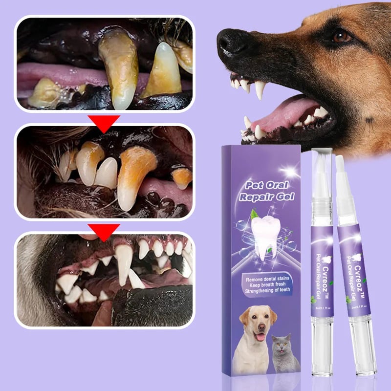 VitaSmile™ — Transform Your Pet’s Smile with Pain-Free Freshness (1+1 FREE TODAY!)