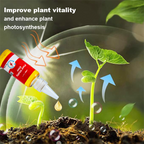 VerdantaBoost™ — Supercharge Your Garden with Giant, Unstoppable Growth