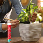VerdanRise™ — Effortless, Long-Lasting Nourishment for a Thriving, Vibrant Garden