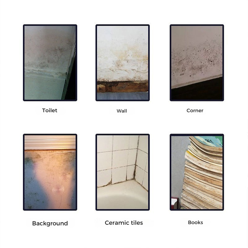 MoldShieldX™ — Eradicate Mold Fast for a Safer, Fresher Home Air