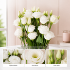 RaminaBlossom™ — Ignite Joy with a Garden Bursting in Vibrant, Heartfelt Color
