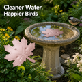 AquaLeaf™ — Keep Your Bird Bath Sparkling Fresh and Irresistibly Clean Without Lifting a Finger