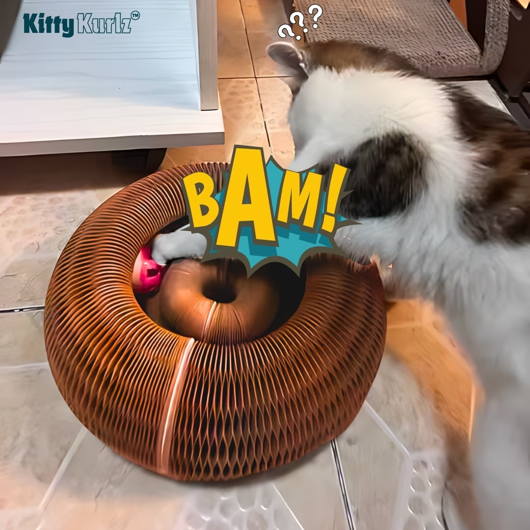 Kitty Kurlz™ Griffoir nid