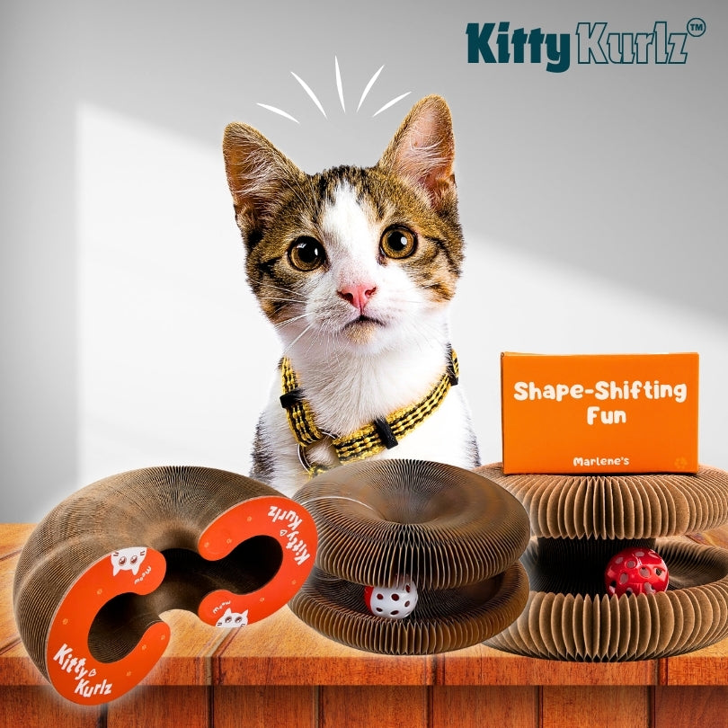 Kitty Kurlz™ Griffoir nid