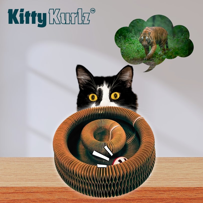 Kitty Kurlz™ krabplank nest