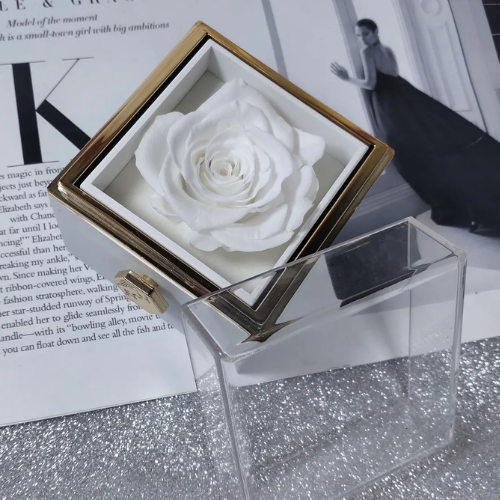 Fabulove™ — Capture Forever Moments with a Real Rose and Secret Love Necklace