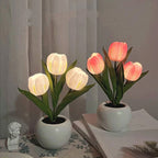 RadianceBloom™ — Instantly Wrap Your Room in Soothing, Romantic Light