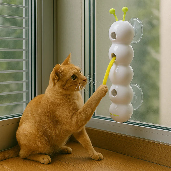 PounceVibe™ — Ignite Wild Play and Endless Joy on Every Wall