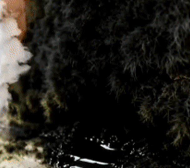 MoldGuardPro™ — Instantly Obliterate Mold and Breathe Easy in a Spotless Home