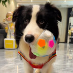 TurboPawz™ — Unleash Endless Joy and Unbreakable Playtime Magic
