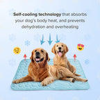 FrostPaw™ — Keep Your Pet Blissfully Cool and Calm All Summer Long