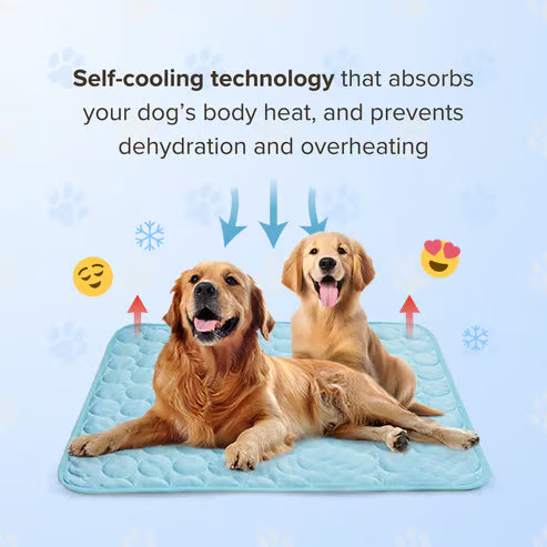FrostPaw™ — Keep Your Pet Blissfully Cool and Calm All Summer Long