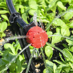 SipStream™ — Effortless Precision Watering for Lush, Thriving Gardens Every Time (50pcs)