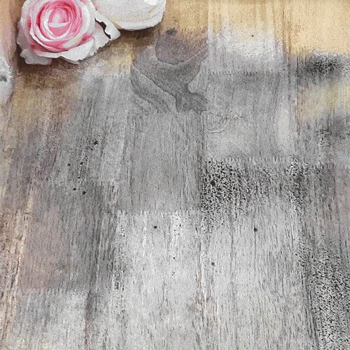 MoldGuardPro™ — Instantly Obliterate Mold and Breathe Easy in a Spotless Home