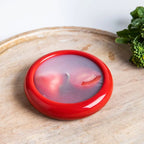RamoraSeal™ — Lock Freshness and Crush Food Waste Every Time