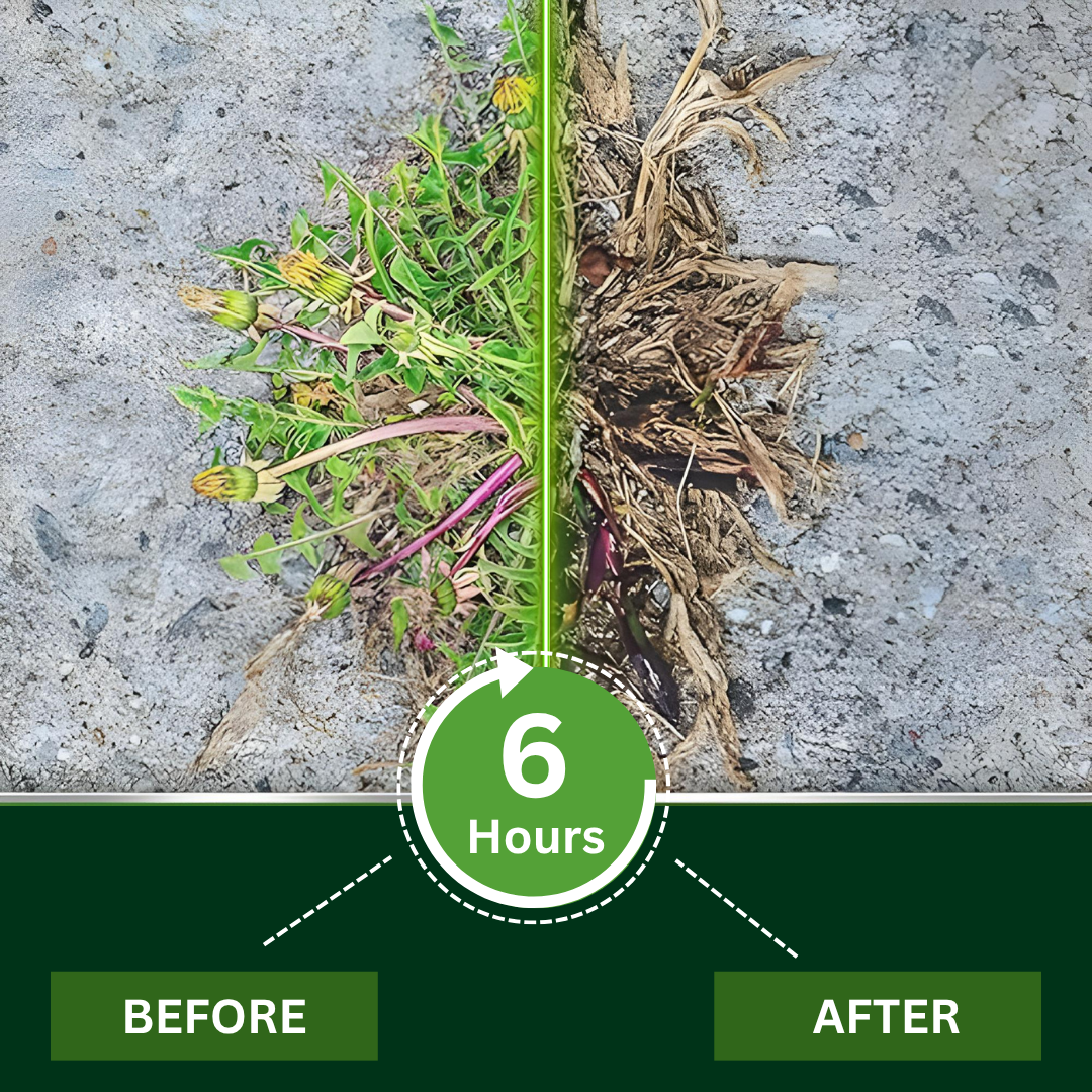 VerdantShield™ — Watch Weeds Disappear Fast and Reclaim Your Lawn’s Freedom