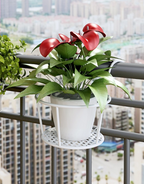 Verdanta™ — Rock-Solid Strength That Lets Your Plants Shine Without a Hitch