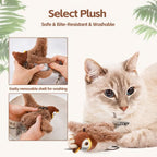WildFlare™ — Ignite Your Cat’s Wild Instincts for Thrilling Play