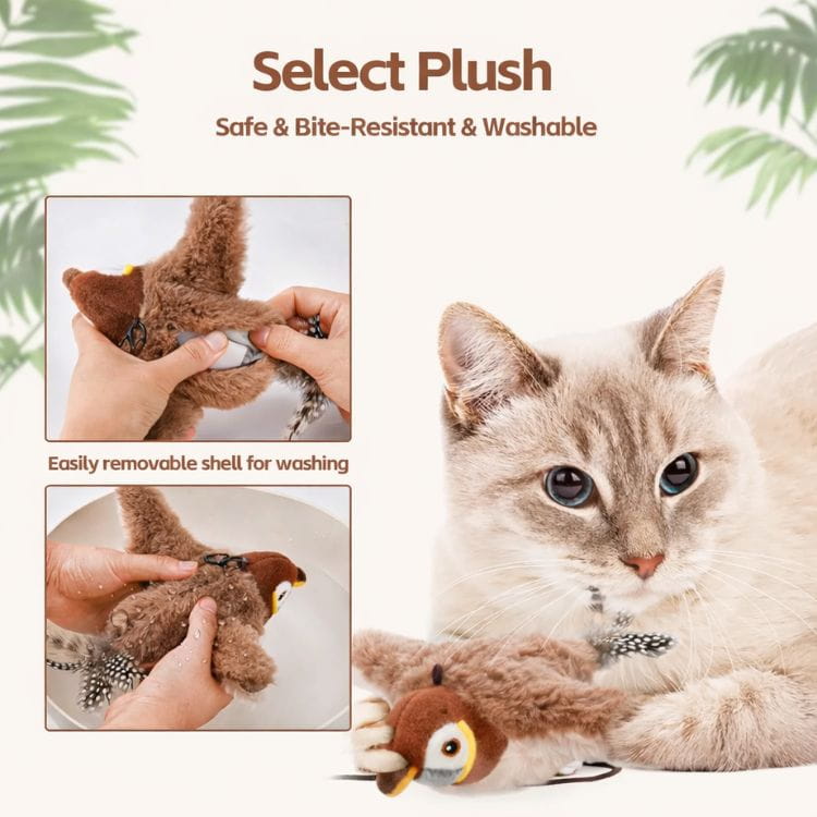 WildFlare™ — Ignite Your Cat’s Wild Instincts for Thrilling Play