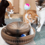 VeloxiPurr™ — Unleash Your Cat’s Energy and Curiosity for Endless Joy