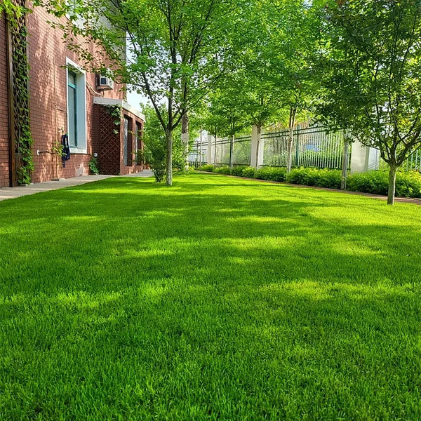 VerdiLux™ — Turn Your Yard Into an Instant Lush, Green Paradise That Lasts All Year