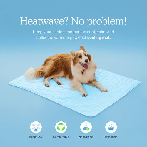 FrostPaw™ — Keep Your Pet Blissfully Cool and Calm All Summer Long