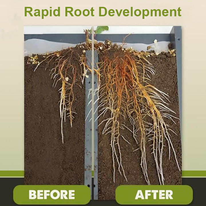 LimeTow™ — Ignite Giant Growth and Unleash Your Garden’s Wildest Potential (1+1 FREE TODAY!)