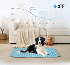 FrostPaw™ — Keep Your Pet Blissfully Cool and Calm All Summer Long