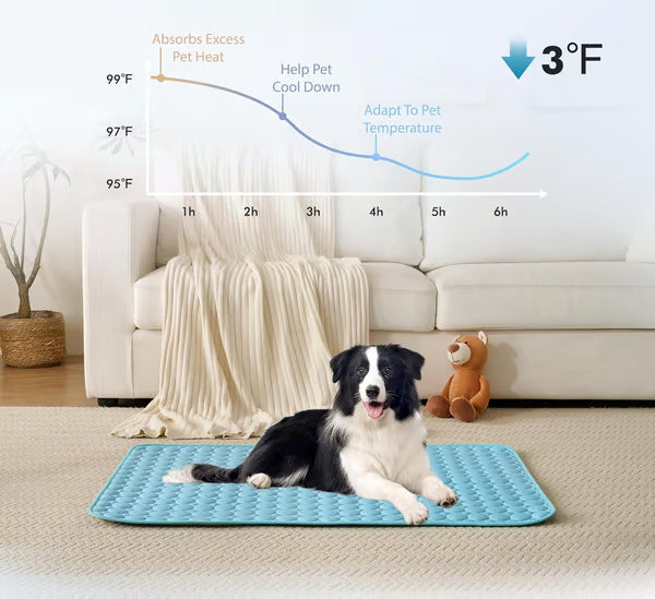 FrostPaw™ — Keep Your Pet Blissfully Cool and Calm All Summer Long