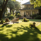 VerdiLux™ — Turn Your Yard Into an Instant Lush, Green Paradise That Lasts All Year