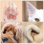 PetPure™ — Glide Through Grooming with Calm, Confident Precision