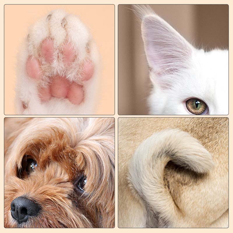 PetPure™ — Glide Through Grooming with Calm, Confident Precision