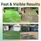 VerdantShield™ — Watch Weeds Disappear Fast and Reclaim Your Lawn’s Freedom