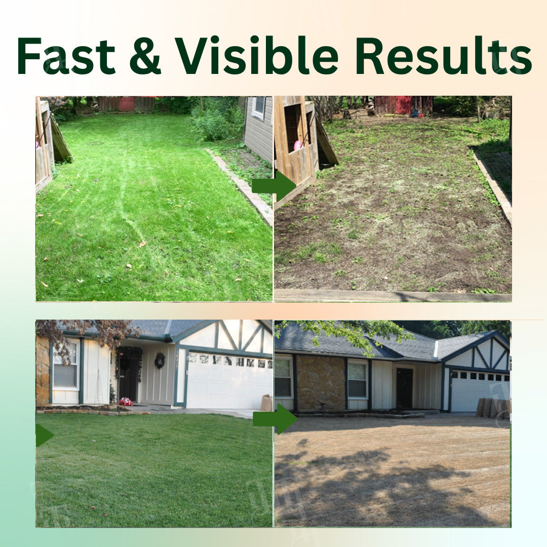 VerdantShield™ — Watch Weeds Disappear Fast and Reclaim Your Lawn’s Freedom